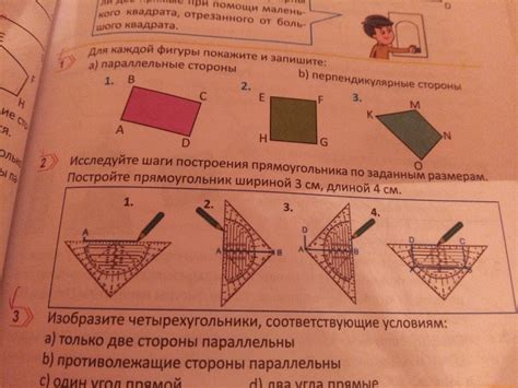 Шаги построения высоты прямоугольника: