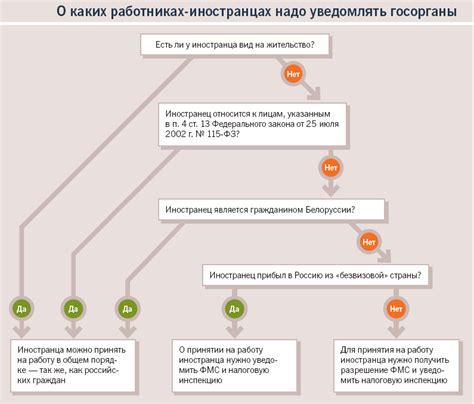 Шаги по оформлению жены в ДМС: подробная инструкция