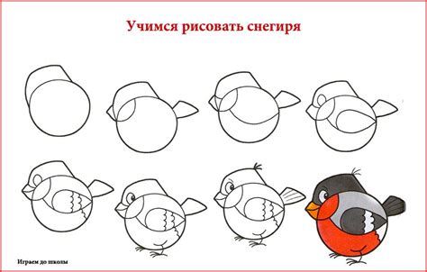 Шаги по шаговой инструкции для рисования торса