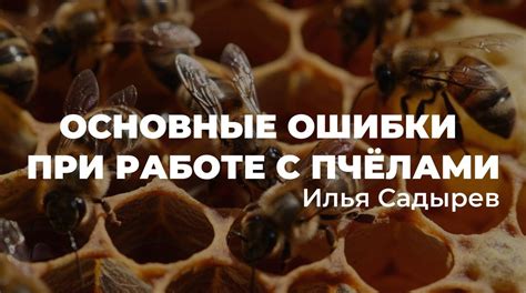 Шаг 1: Изучение основ пчеловодства