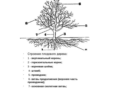 Шаг 1: Начертание контура кустарника