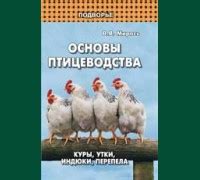 Шаг 1: Создание основы для утки