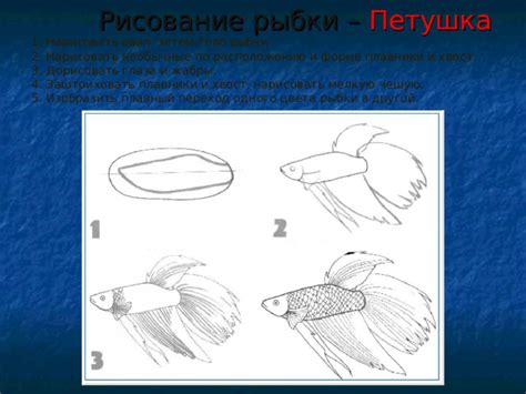 Шаг 2: Нарисовать туловище и плавники рыбы