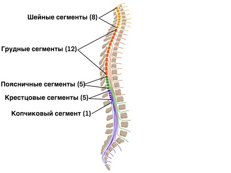 Шаг 2: Определите место, где находится баркод