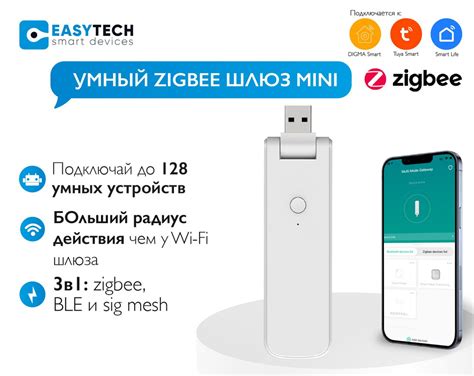 Шаг 2: Подключение ZigBee к Wi-Fi