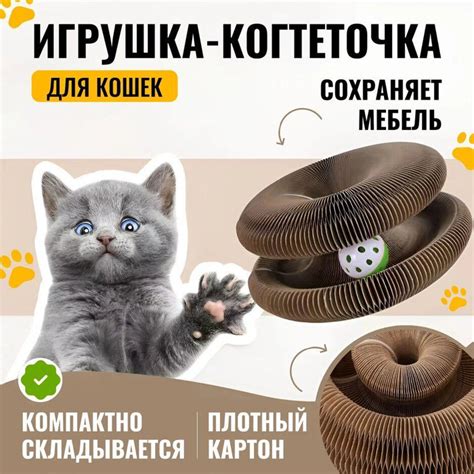 Шаг 2: Создание основы для котов