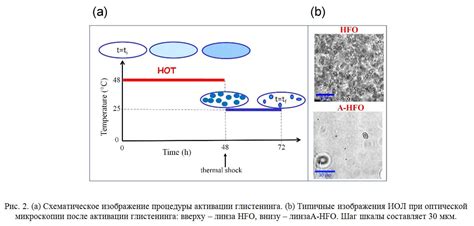 Шаг 2: Схематическое изображение пляжа и моря