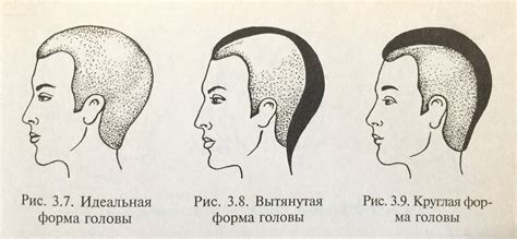 Шаг 2 - Определение формы головы и волос