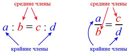 Шаг 2 - Основные пропорции