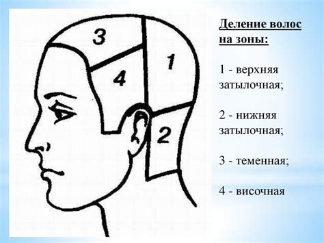 Шаг 2 - Разделение волос