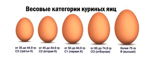 Шаг 2 - Разделение яиц