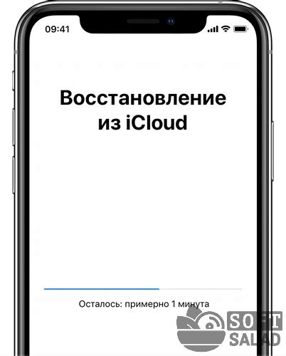 Шаг 3: Восстановление переписки через iCloud