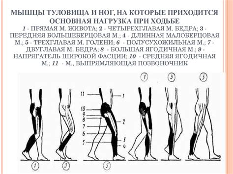 Шаг 3: Заготовка туловища и ног