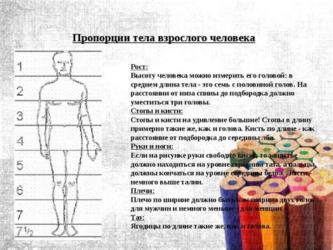 Шаг 3: Находим правильные пропорции для тела