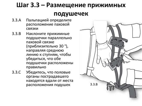 Шаг 3: Размещение конечностей