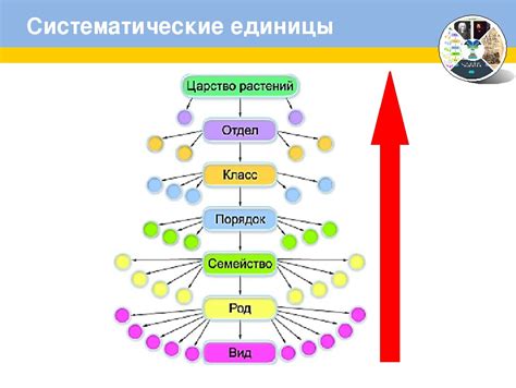 Шаг 3: Удерживайте кнопки в правильной последовательности