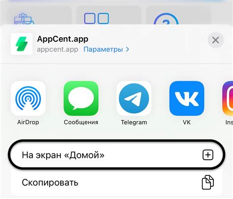 Шаг 3: Установка приложения на iOS APK