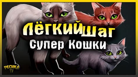 Шаг 3. Изготовление бесконечной кошки