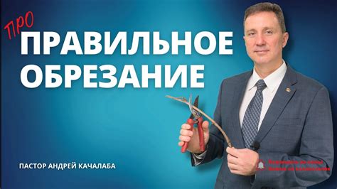 Шаг 3. Правильное обрезание