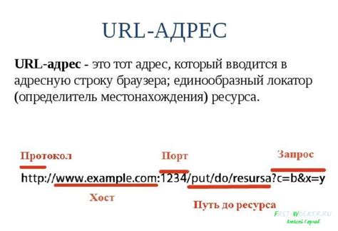 Шаг 4: Ввести URL-адрес в поле "Адрес"