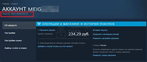 Шаг 4: Найдите свой Steam ID внизу страницы