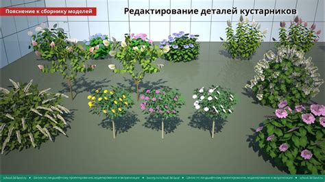 Шаг 4: Подробная проработка деталей кустарника