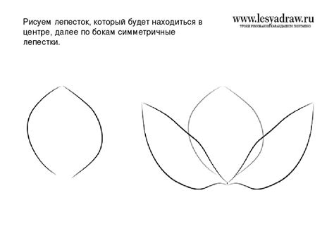 Шаг 4: Рисование окончательной формы лепестков