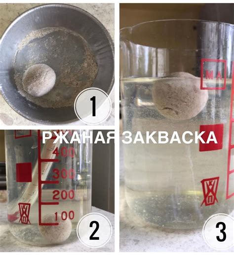 Шаг 4. Определение готовности закваски для использования