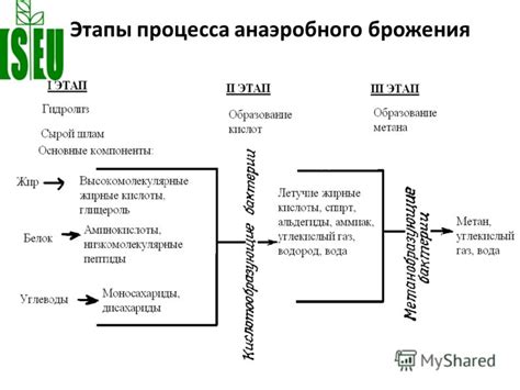 Шаг 4. Особенности процесса брожения: