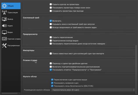 Шаг 5: Настройка стрим рекордера