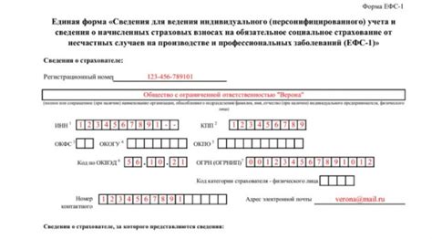 Шаг 5: Подписание документа ЕФС 1