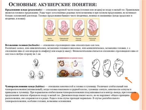 Шаг 6: Оформление медицинской документации