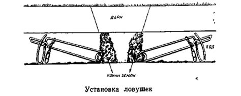 Шаг 6: контроль и обслуживание кротоловки