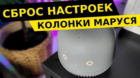 Шаг 6. Вродактирование настроек Маруси колонки Xiaomi через приложение Marusia.