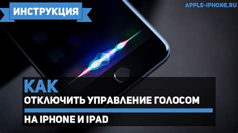 Шаг 7: Проверьте, что управление голосом отключено на iPhone 11