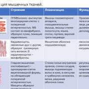 Шаг 7. Глажка тканей