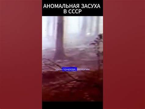 Шокирующее событие: гибель безнаказанно преступившей пятилетку в Костроме вызвала массовую реакцию