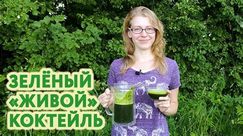 Шротовый коктейль для укрепления иммунитета