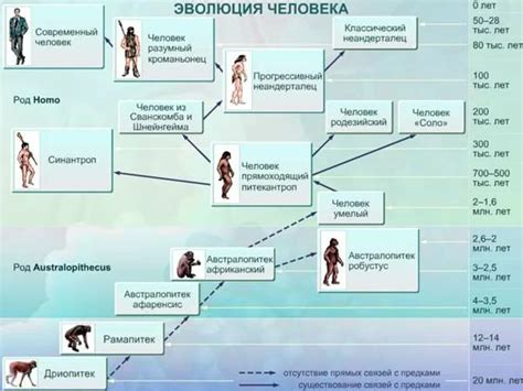 Эволюционная теория: свидетельства происхождения человека от животного