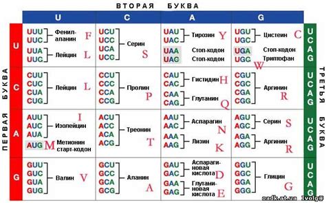 Эволюционные изменения генетического кода