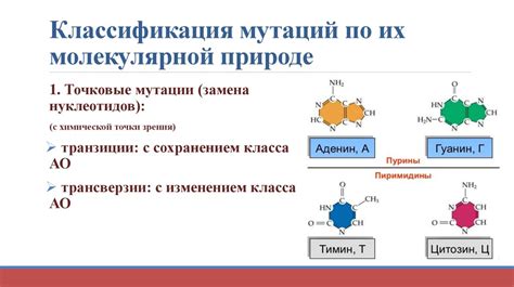 Эволюционные мутации и их роль