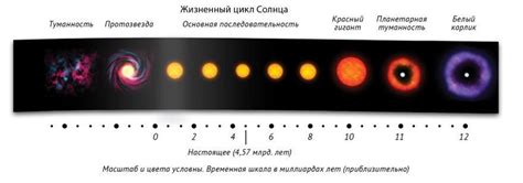 Эволюция имени