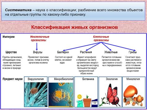 Эволюция клеточных организмов