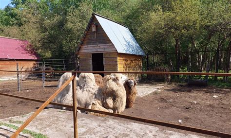 Экзотические имена