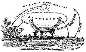 Экологическая энергетика и транспорт