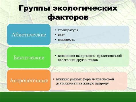 Экологические альтернативы в производстве шоперов