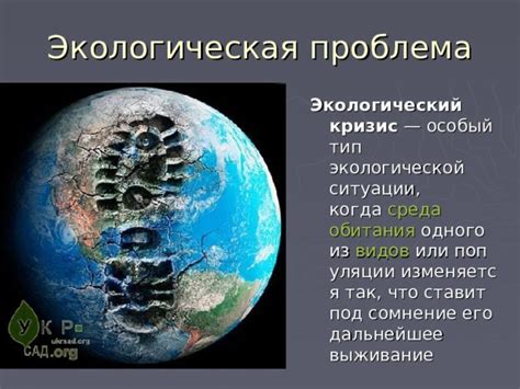 Экологические проблемы современности