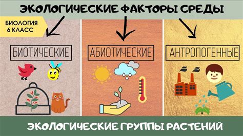 Экологические условия и здравоохранение