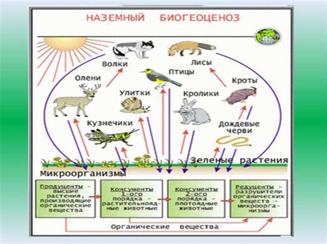 Экологический подход к удобрениям