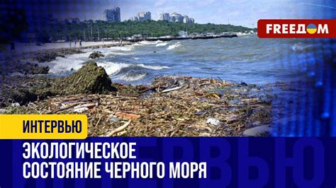 Экологическое состояние Черного моря